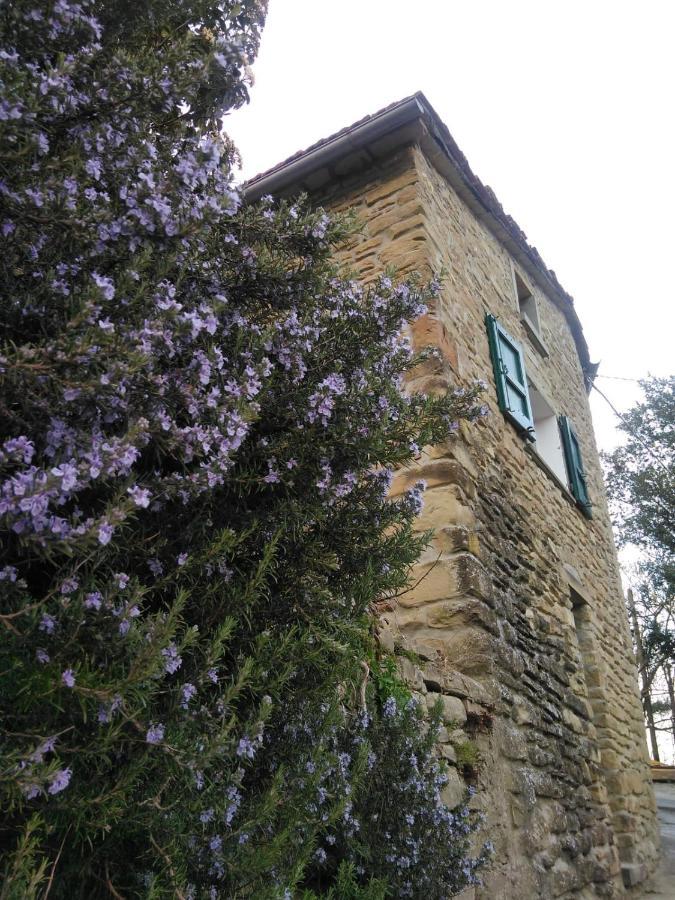 Agriturismo Il Regno Del Marrone Castel del Rio Exterior foto